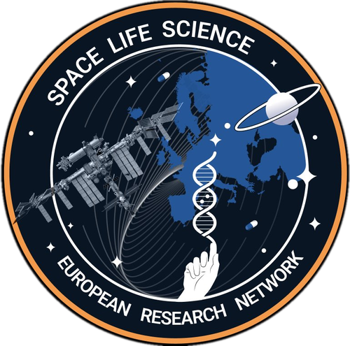 SEREN mission badge